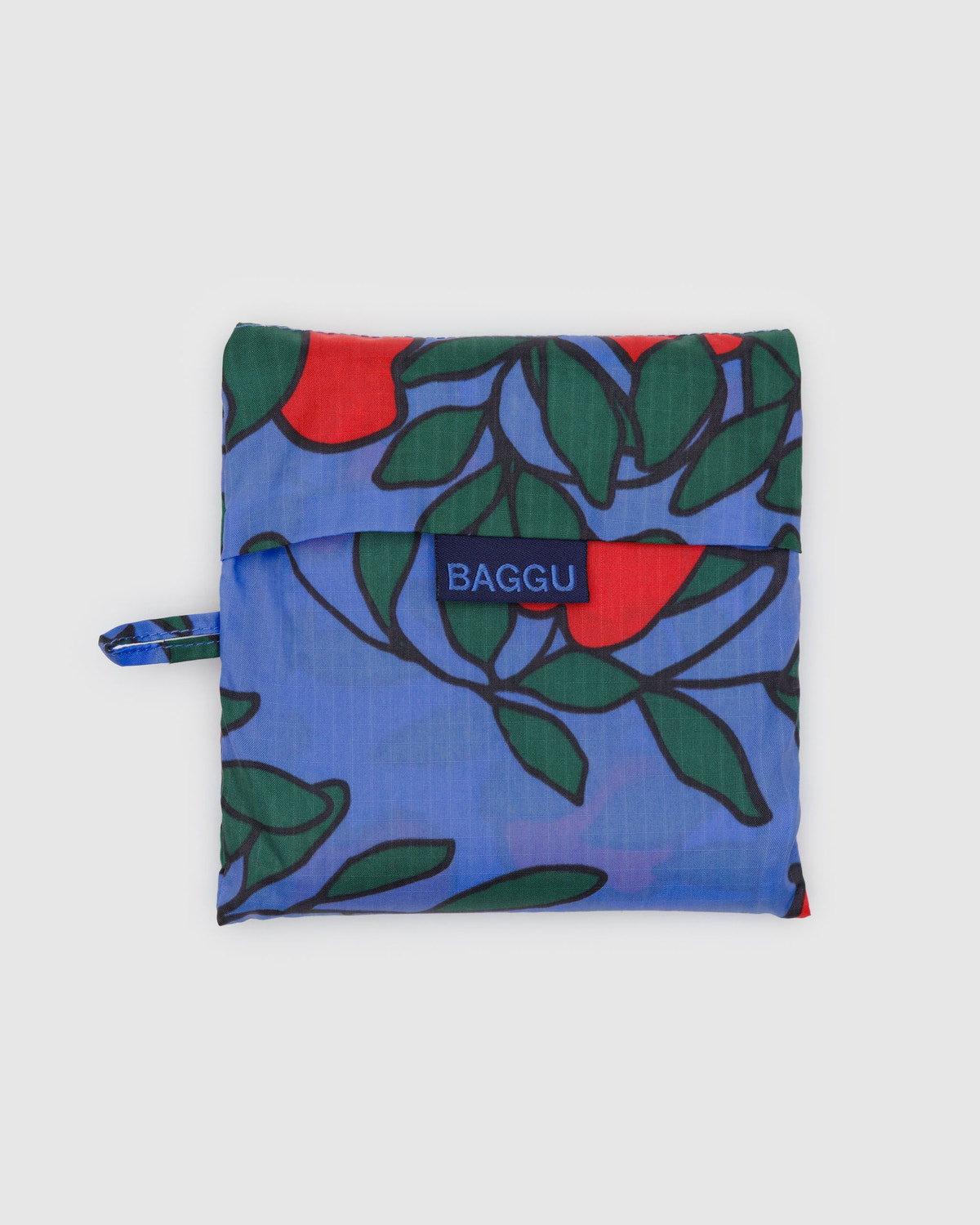 Big Baggu - Image 3